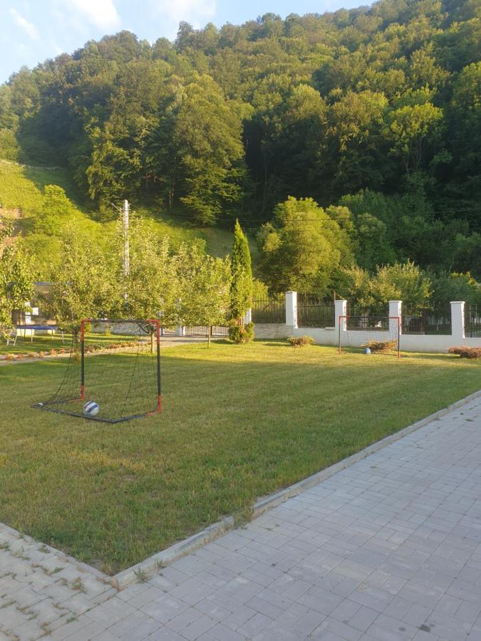 Pensiunea Casa David Sugag Bagian luar foto
