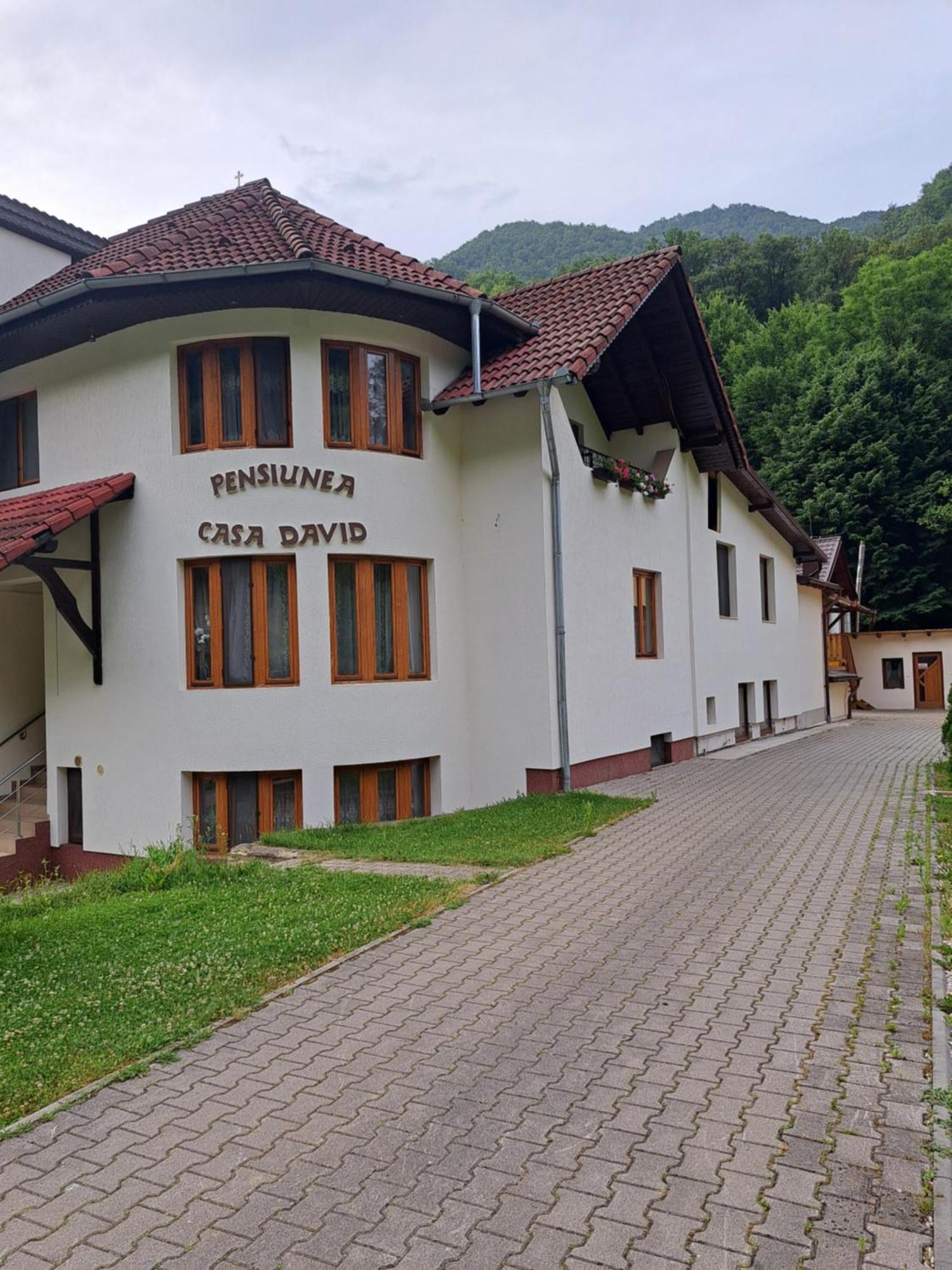 Pensiunea Casa David Sugag Bagian luar foto